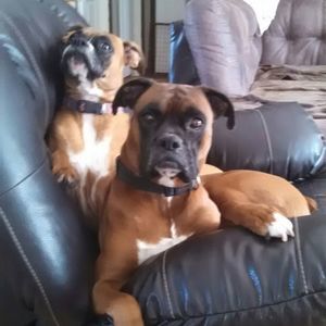 Meet your Posher, Becky